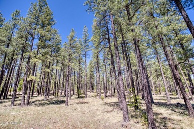 Stunning lot located in the highly coveted gated community of - photo 5