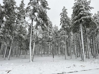 Stunning lot located in the highly coveted gated community of - photo 8