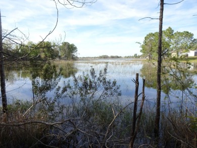 Lake Lot For Sale in Deltona, Florida