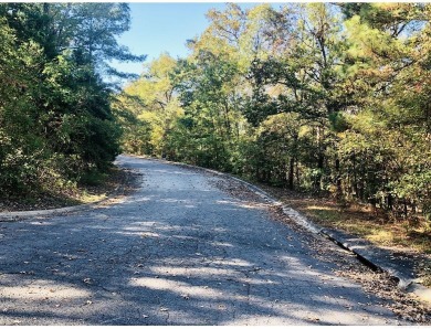 Lake Lot For Sale in Maumelle, Arkansas