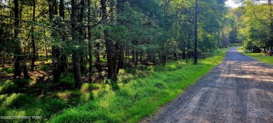 Arrowhead Lake Lot For Sale in Pocono Lake Pennsylvania