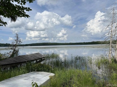 Lake Lot For Sale in Marenisco, Michigan