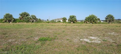 Lake Lot For Sale in Cape Coral, Florida