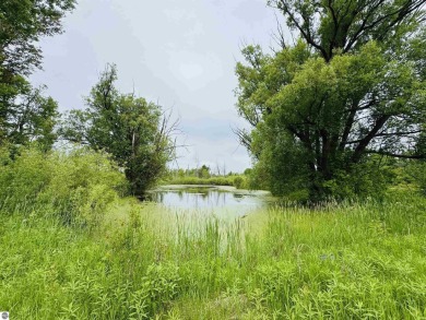 (private lake, pond, creek) Acreage For Sale in Manton Michigan