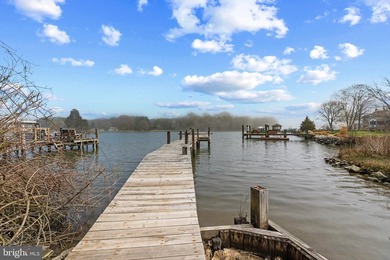 Welcome to this HIDDEN GEM of Anne Arundle County. Fully - photo 48