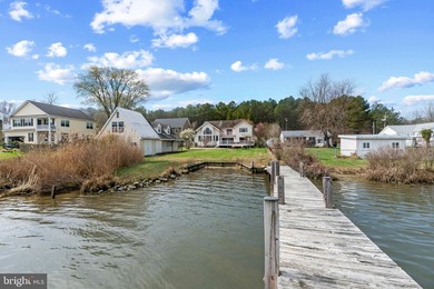 Welcome to this HIDDEN GEM of Anne Arundle County. Fully - photo 50