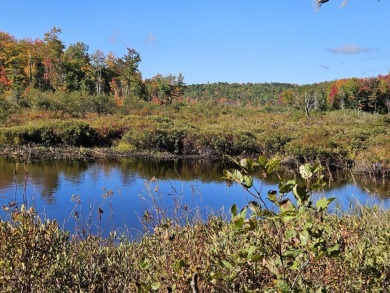 (private lake, pond, creek) Acreage For Sale in New Vineyard Maine