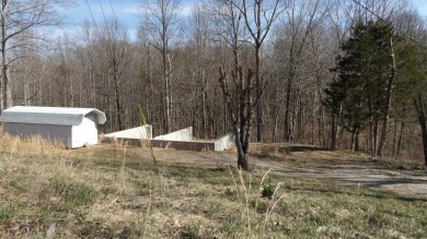 (private lake, pond, creek) Acreage For Sale in Hilham Tennessee