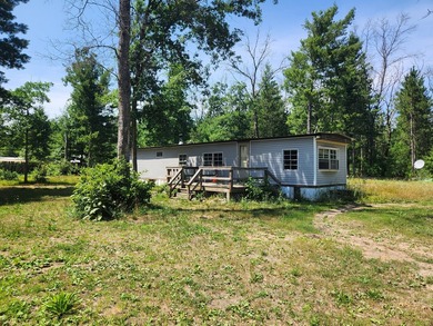 North Lake - Lake County Lot For Sale in Baldwin Michigan