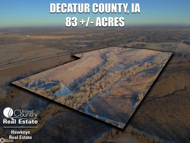 (private lake, pond, creek) Acreage For Sale in Decatur Iowa