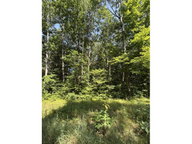 (private lake, pond, creek) Lot For Sale in Hersey Michigan