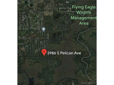 Tsala Apopka Chain of Lakes Lot For Sale in Inverness Florida