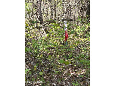 Want a lakefront acreage lot without breaking the bank? Woods - photo 1