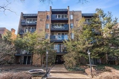 Lake Michigan - Cook County Condo For Sale in Evanston Illinois