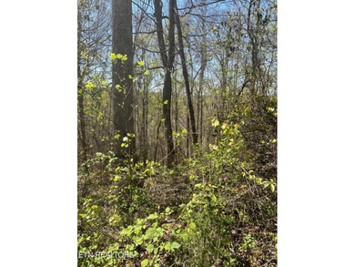Want a lakefront acreage lot without breaking the bank? Woods - photo 2