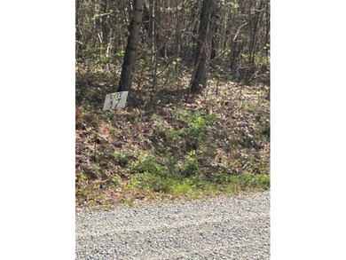 Want a lakefront acreage lot without breaking the bank? Woods - photo 3