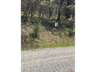Want a lakefront acreage lot without breaking the bank? Woods - photo 4