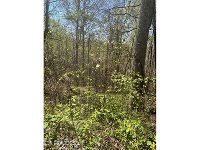 Want a lakefront acreage lot without breaking the bank? Woods - photo 5