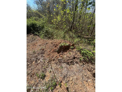 Want a lakefront acreage lot without breaking the bank? Woods - photo 6