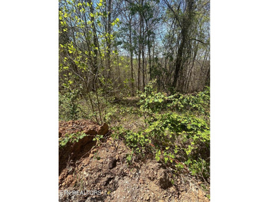 Want a lakefront acreage lot without breaking the bank? Woods - photo 7