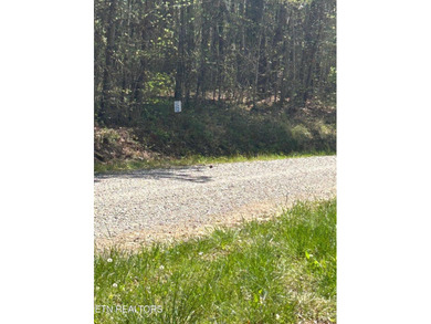 Want a lakefront acreage lot without breaking the bank? Woods - photo 8