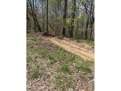 Want a lakefront acreage lot without breaking the bank? Woods - photo 9
