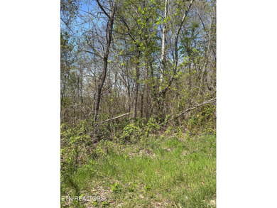 Want a lakefront acreage lot without breaking the bank? Woods - photo 10