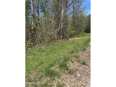 Want a lakefront acreage lot without breaking the bank? Woods - photo 2