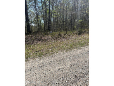 Want a lakefront acreage lot without breaking the bank? Woods - photo 3