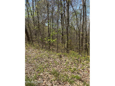 Want a lakefront acreage lot without breaking the bank? Woods - photo 5