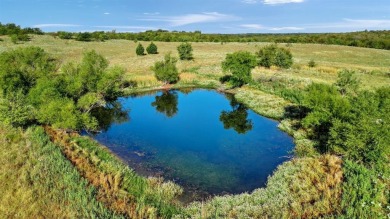 Lake Texoma Acreage For Sale in Sherman Texas