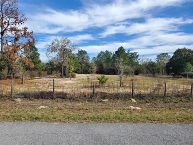 Bonable Lake Lot For Sale in Dunnellon Florida