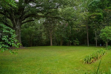1,060+/- acres in Yazoo County with 1.7+/- miles of Big Black - photo 13