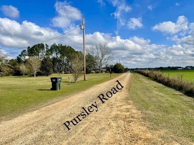 This versatile riverfront development land is located in the - photo 14