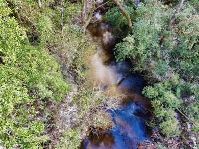 This versatile riverfront development land is located in the - photo 15