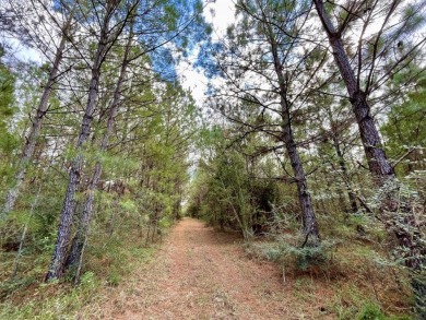 This versatile riverfront development land is located in the - photo 16