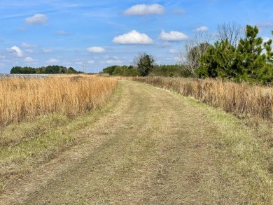 This versatile riverfront development land is located in the - photo 17