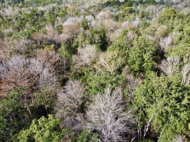This versatile riverfront development land is located in the - photo 18