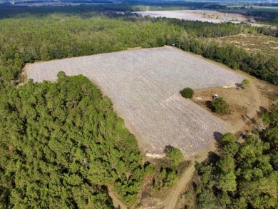This versatile riverfront development land is located in the - photo 19