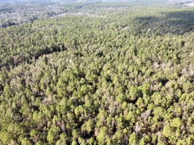 This versatile riverfront development land is located in the - photo 20