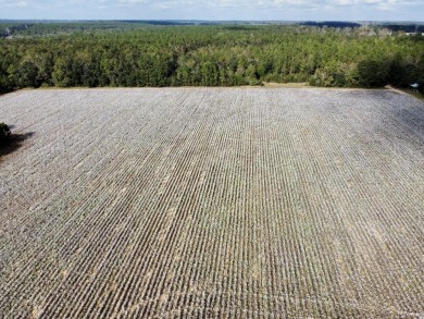 This versatile riverfront development land is located in the - photo 22