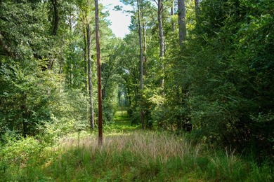 1,060+/- acres in Yazoo County with 1.7+/- miles of Big Black - photo 22