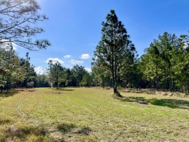 This versatile riverfront development land is located in the - photo 23
