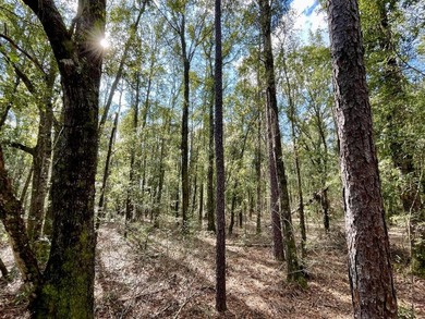 This versatile riverfront development land is located in the - photo 24