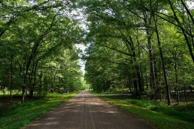 1,060+/- acres in Yazoo County with 1.7+/- miles of Big Black - photo 24