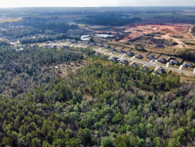 This versatile riverfront development land is located in the - photo 25
