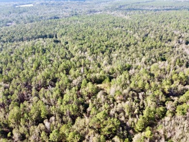 This versatile riverfront development land is located in the - photo 26