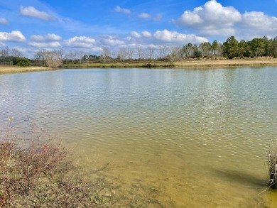 This versatile riverfront development land is located in the - photo 27