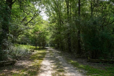1,060+/- acres in Yazoo County with 1.7+/- miles of Big Black - photo 27