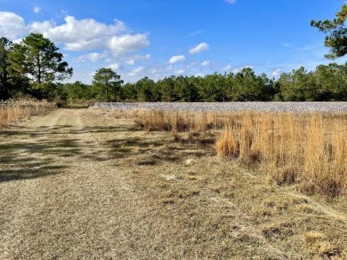 This versatile riverfront development land is located in the - photo 28